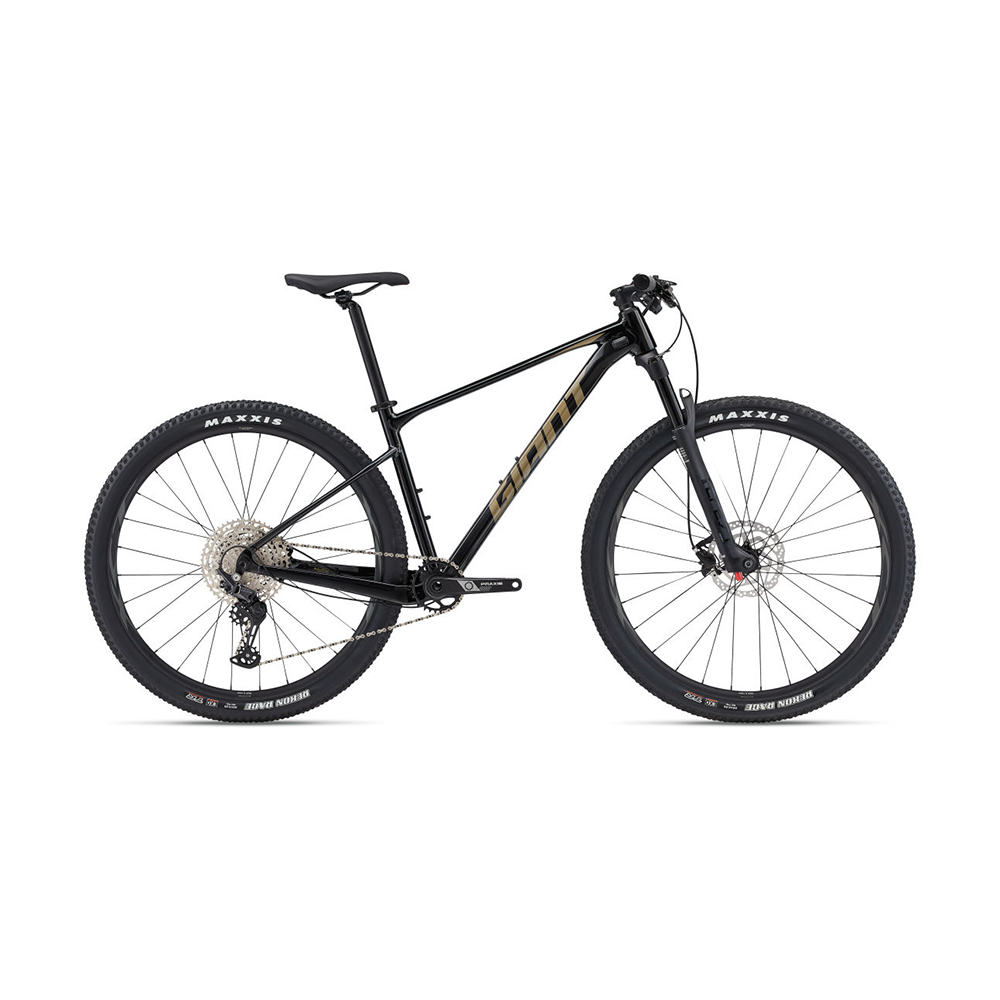Maastikuratas GIANT XTC SLR 29 2, Panther (L)