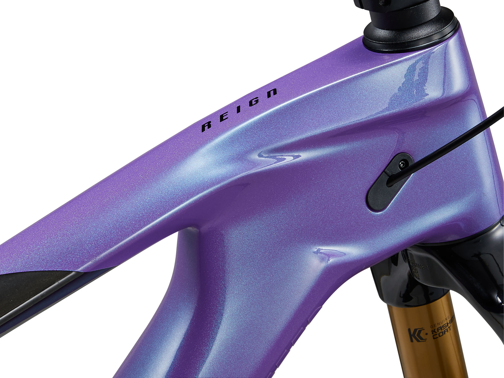 Maastikuratas GIANT Reign Advanced 1, 29" Digital Blurple (M) - Image 10