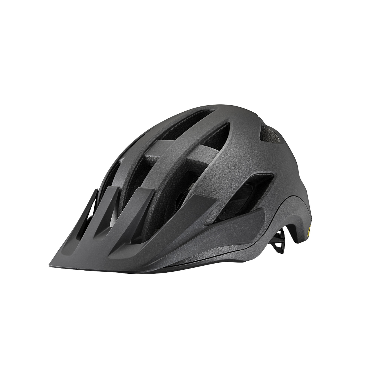 Kiiver GIANT Roost MIPS, Black Diamond (M)