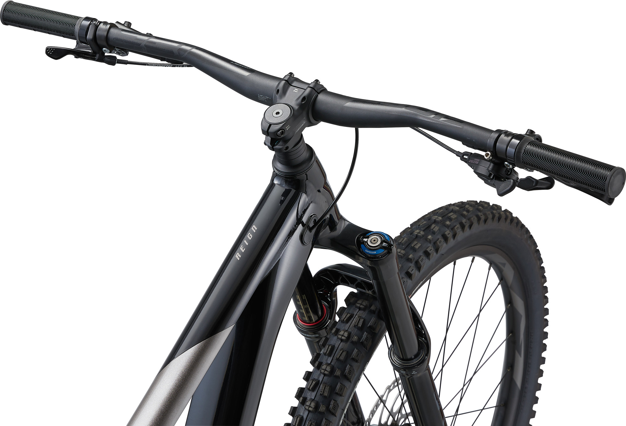Maastikuratas GIANT Reign 29 2, Black/Metal (S) - Image 3
