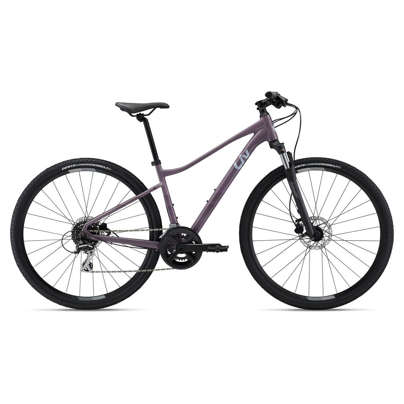 Jalgratas naistele LIV Rove 3 DD Purple Ash (L)