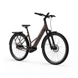 Elektrijalgratas TENWAYS Ago Air Belt, Walnut Brown - Pilt 2