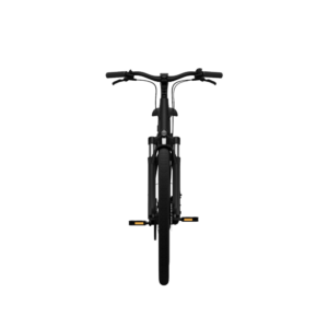 Elektrijalgratas TENWAYS CGO800S, Midnight Black - Pilt 3