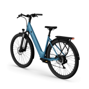 Elektrijalgratas TENWAYS CGO800 Plus, Sky Blue - Pilt 3