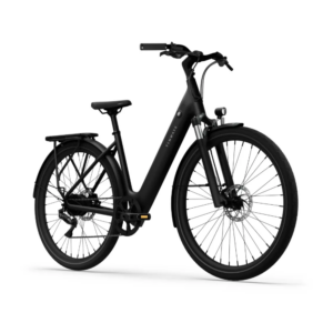 Elektrijalgratas TENWAYS CGO800 Plus, Midnight Black - Pilt 2