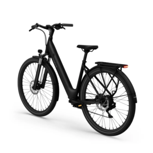 Elektrijalgratas TENWAYS CGO800 Plus, Midnight Black - Pilt 3