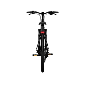 Elektrijalgratas TENWAYS CGO800 Plus, Midnight Black - Pilt 5