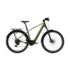 Elektrijalgratas TENWAYS AGO X Special Edition, 29" Green