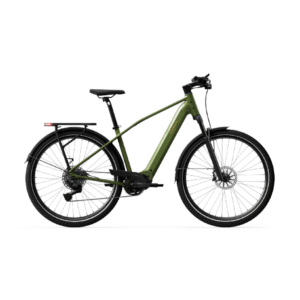 Elektrijalgratas TENWAYS AGO X Special Edition, 29" Green