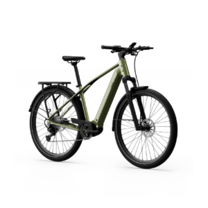 Elektrijalgratas TENWAYS AGO X Special Edition, 29" Green - Pilt 2