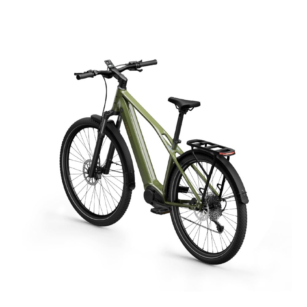 Elektrijalgratas TENWAYS AGO X Special Edition, 29" Green - Pilt 3