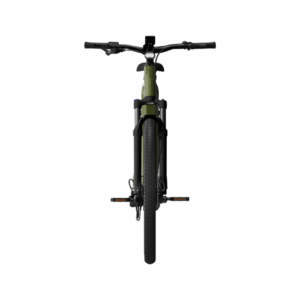 Elektrijalgratas TENWAYS AGO X Special Edition, 29" Green - Pilt 5