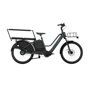 Elektriline kargoratas TENWAYS Longtail DUO