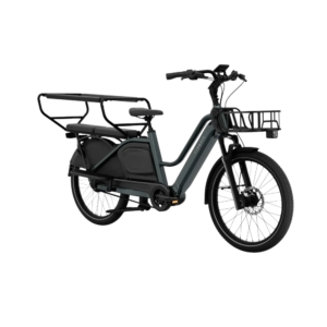 Elektriline kargoratas TENWAYS Longtail DUO - Pilt 4