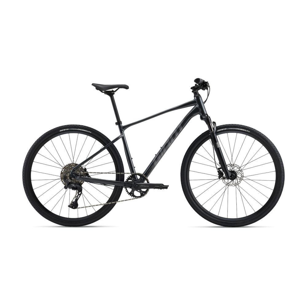 Jalgratas GIANT Roam 1, Charcoal (S)