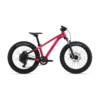 Laste jalgratas LIV STP 20 FS, Hot Pink