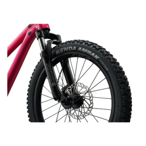 Laste jalgratas LIV STP 20 FS, Hot Pink - Pilt 5
