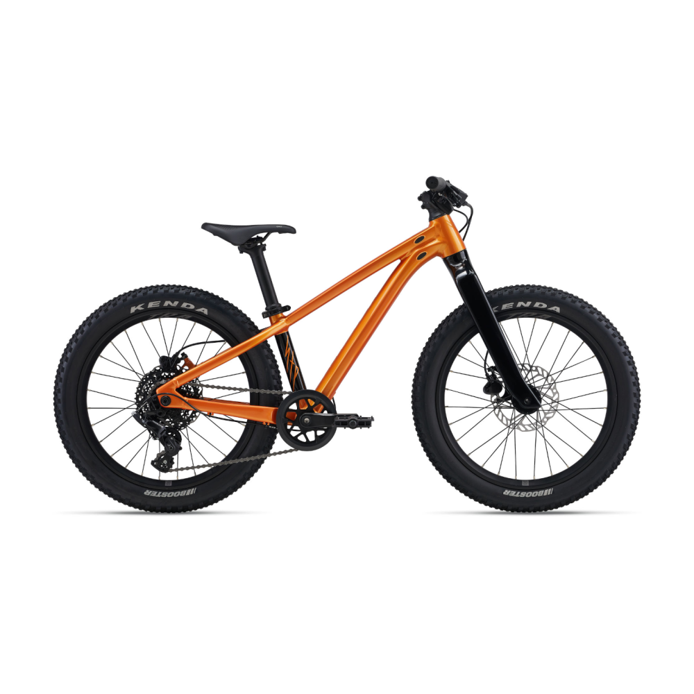 Laste jalgratas GIANT STP 20, Metallic Orange