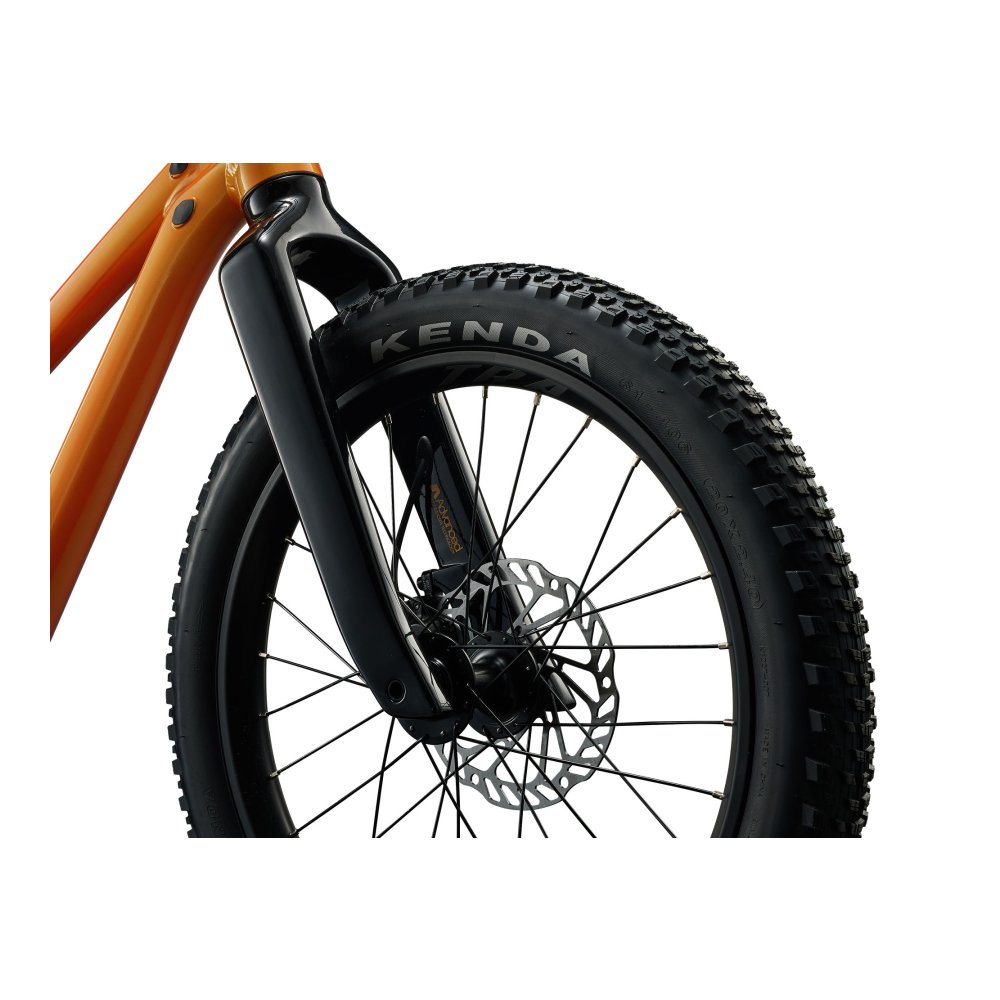 Laste jalgratas GIANT STP 20, Metallic Orange - Pilt 6
