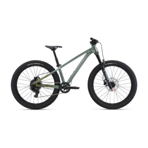 Laste jalgratas LIV STP 24, Alpine Green