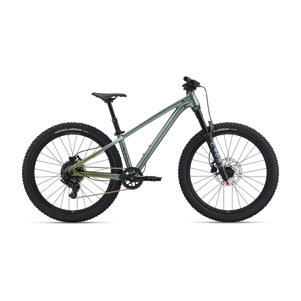 Laste jalgratas LIV STP 24, Alpine Green