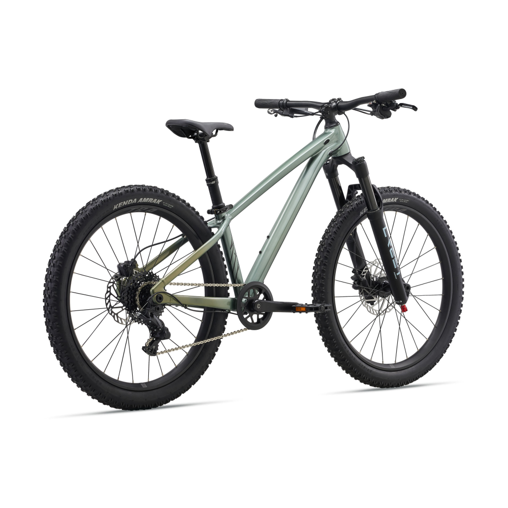 Laste jalgratas LIV STP 24, Alpine Green - Pilt 2