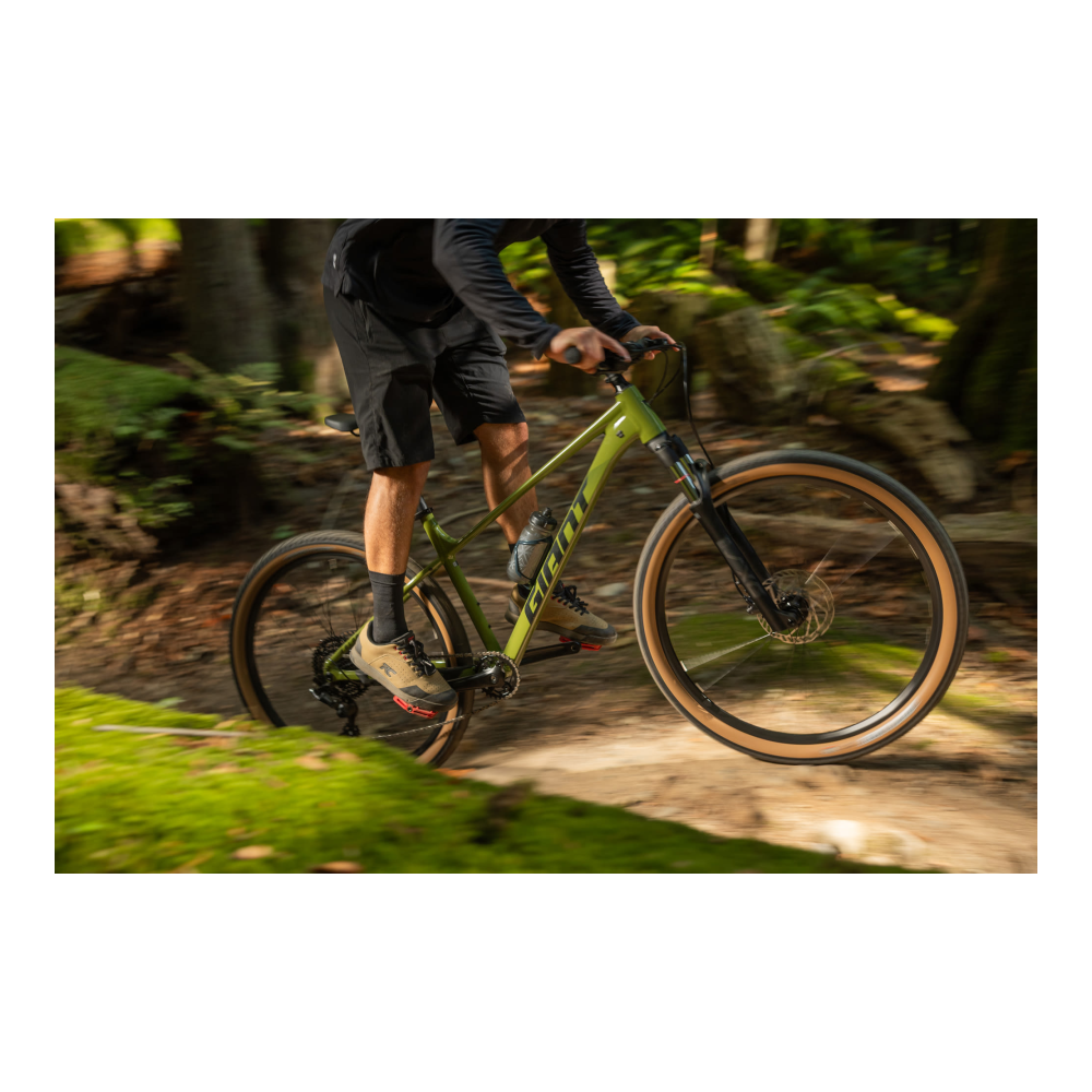 Jalgratas GIANT Talon 2, 27,5" XS, Dried Matcha - Pilt 3