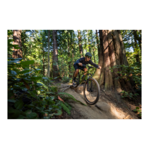 Jalgratas GIANT Talon 2, 27,5" XS, Dried Matcha - Pilt 4