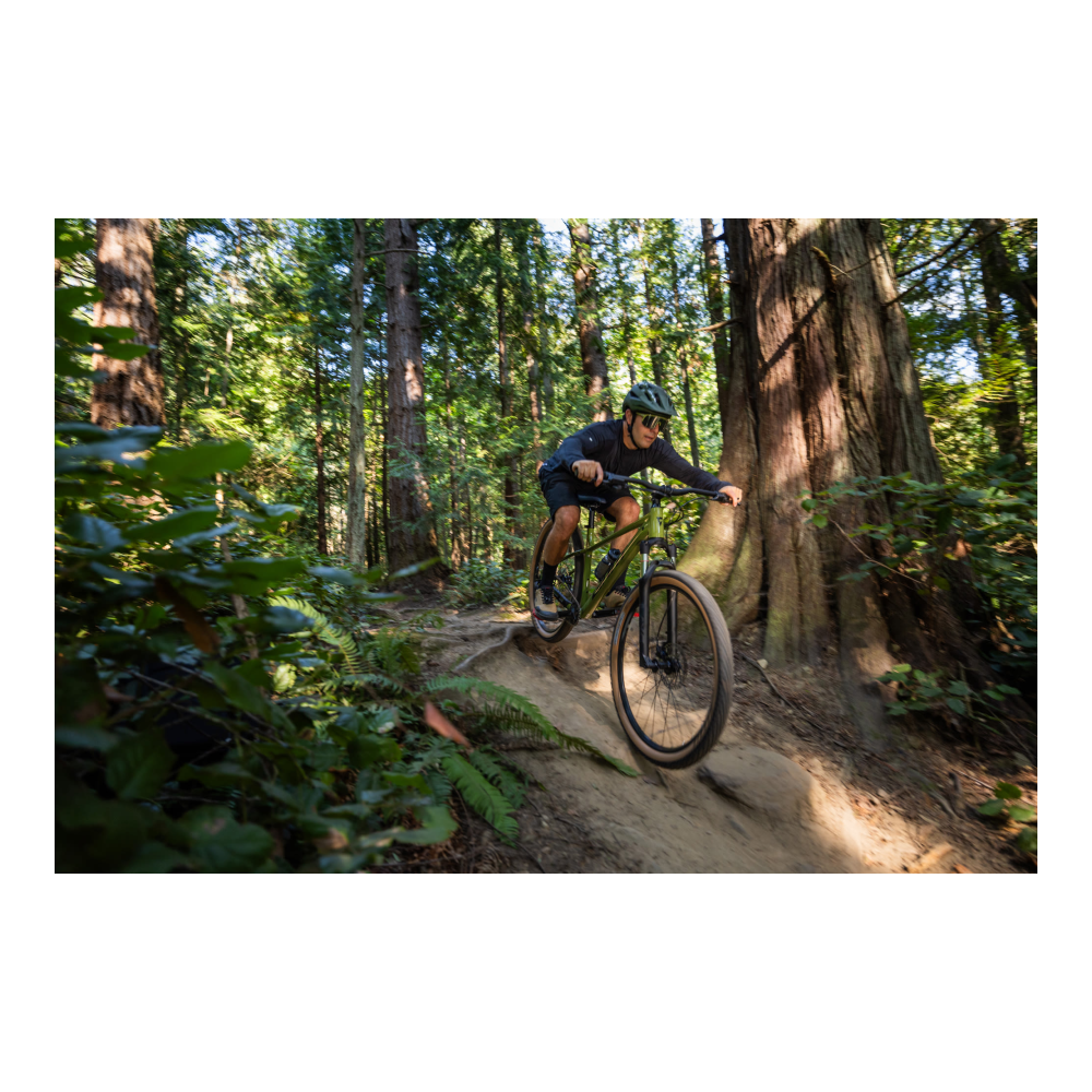 Jalgratas GIANT Talon 2, 27,5" XS, Dried Matcha - Pilt 4