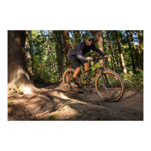 Jalgratas GIANT Talon 2, 27,5" XS, Dried Matcha - Pilt 6