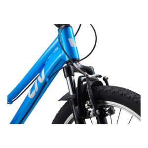 Laste jalgratas LIV Tempt 20, AI Blue - Pilt 4