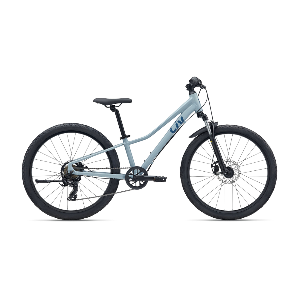 Laste jalgratas LIV Tempt 24, Dusty Blue
