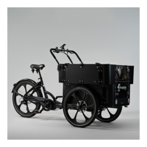 Elektriline kastiratas CARGOBIKE of SWEDEN Delight Kindergarten