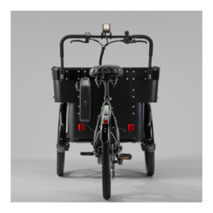 Elektriline kastiratas CARGOBIKE of SWEDEN Delight Kindergarten - Pilt 2