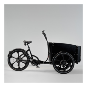 Elektriline kastiratas CARGOBIKE Delight