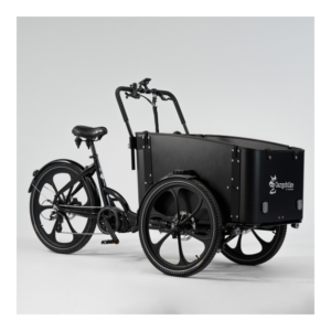 Elektriline kastiratas CARGOBIKE Delight - Pilt 2