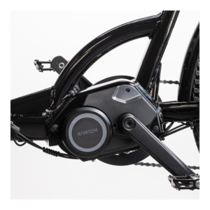 Elektriline kastiratas CARGOBIKE Delight - Pilt 4