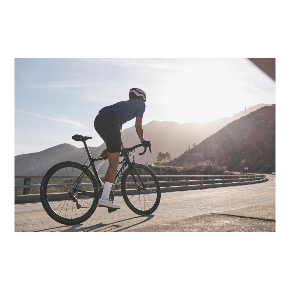 Sadul GIANT Fleet SL must - Pilt 7
