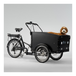 Elektriline kastiratas CARGOBIKE of SWEDEN Classic Dog