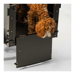 Elektriline kastiratas CARGOBIKE of SWEDEN Classic Dog - Pilt 2