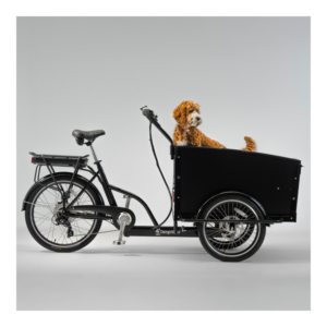 Elektriline kastiratas CARGOBIKE of SWEDEN Classic Dog - Pilt 3
