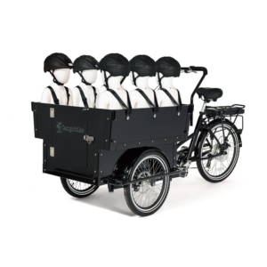 Elektriline kastiratas CARGOBIKE of SWEDEN Classic Kindergarten - Pilt 2