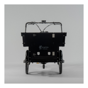 Elektriline kastiratas CARGOBIKE of SWEDEN Classic Kindergarten - Pilt 3