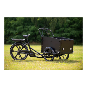 Elektriline kastiratas CARGOBIKE of SWEDEN Svensson Family - Pilt 4