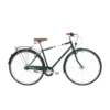 Jalgratas ROMET Vintage Classic 2.0 M, roheline (L)