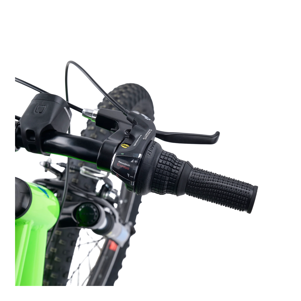 Laste jalgratas S'COOL Xroc, 20" Neon Green/Ocean - Pilt 3