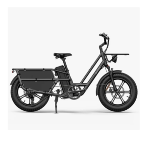 Elektriline kargoratas FIIDO T2 Longtail Cargo, Grey