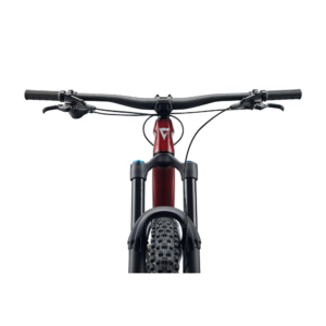 Maastikuratas GIANT Reign Advanced 2, 29" Sangria/Carbon - Pilt 4