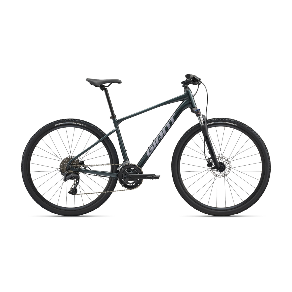 Jalgratas GIANT Roam 2, Asphalt Green