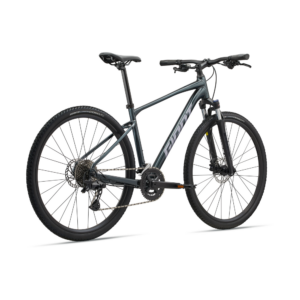 Jalgratas GIANT Roam 2, Asphalt Green - Pilt 2